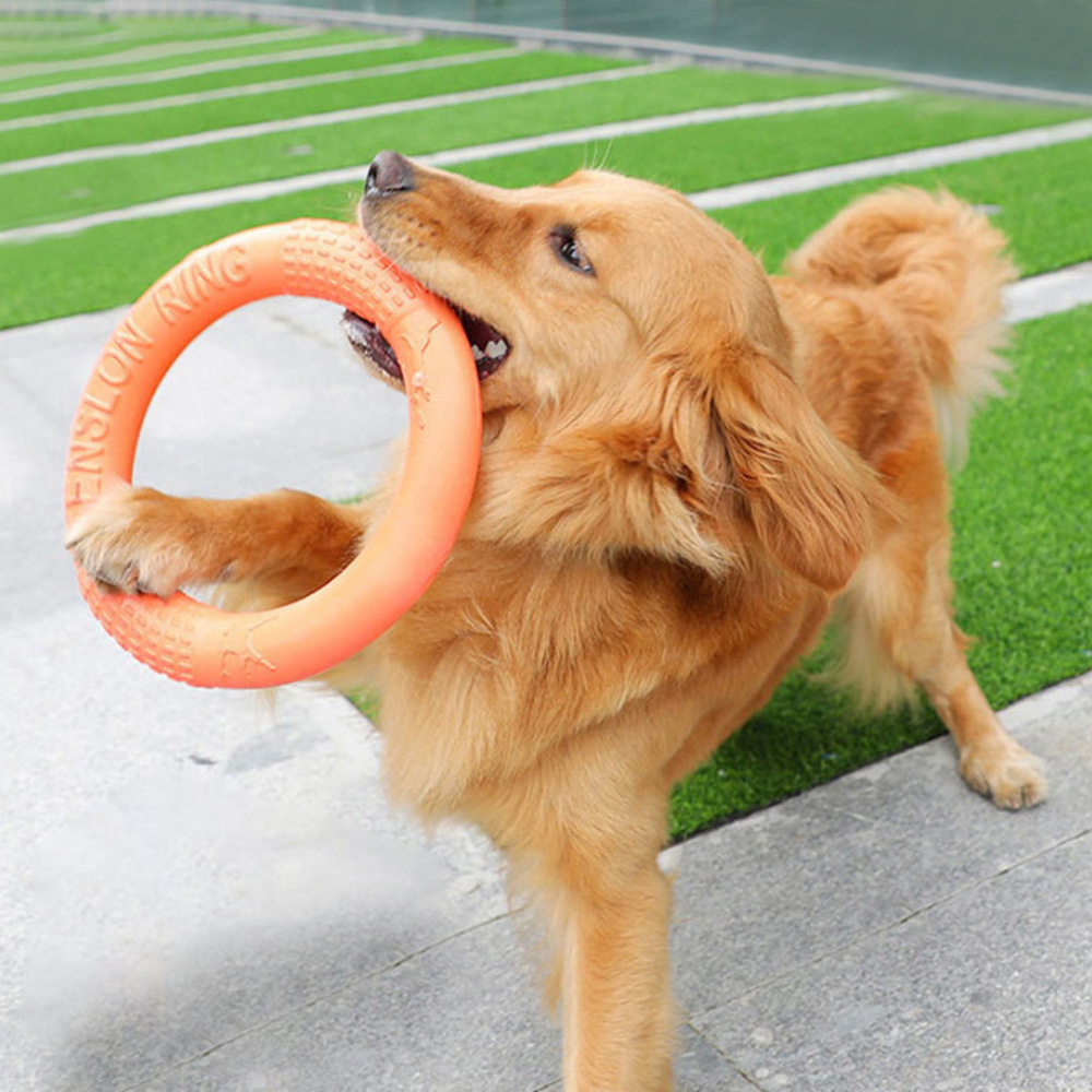 1ชิ้นของเล่นสุนัขสีส้มแหวนฝึกส - Indestructible Dog Chew Toy บทวิจารณ์และราคา