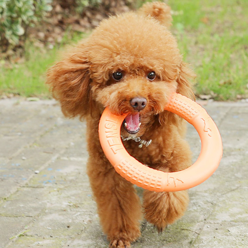 1ชิ้นของเล่นสุนัขสีส้มแหวนฝึกส - Indestructible Dog Chew Toy บทวิจารณ์และราคา