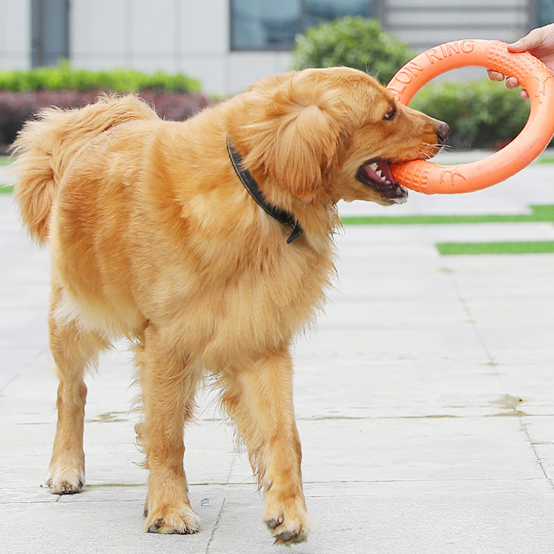 1ชิ้นของเล่นสุนัขสีส้มแหวนฝึกส - Indestructible Dog Chew Toy บทวิจารณ์และราคา