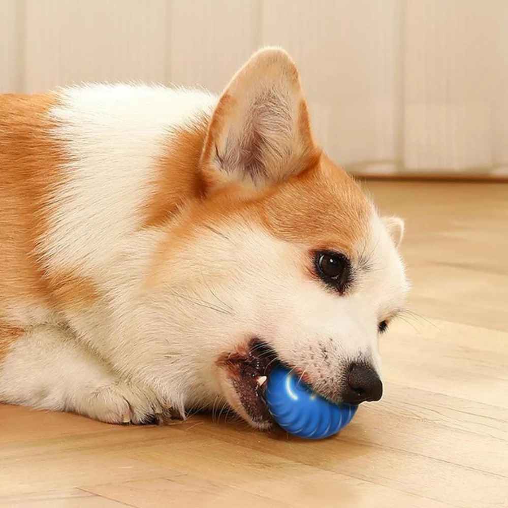 ใหม่ 1 PC ย้ายอัตโนมัติของเล่น - Automatic Moving Dog Ball บทวิจารณ์และราคา