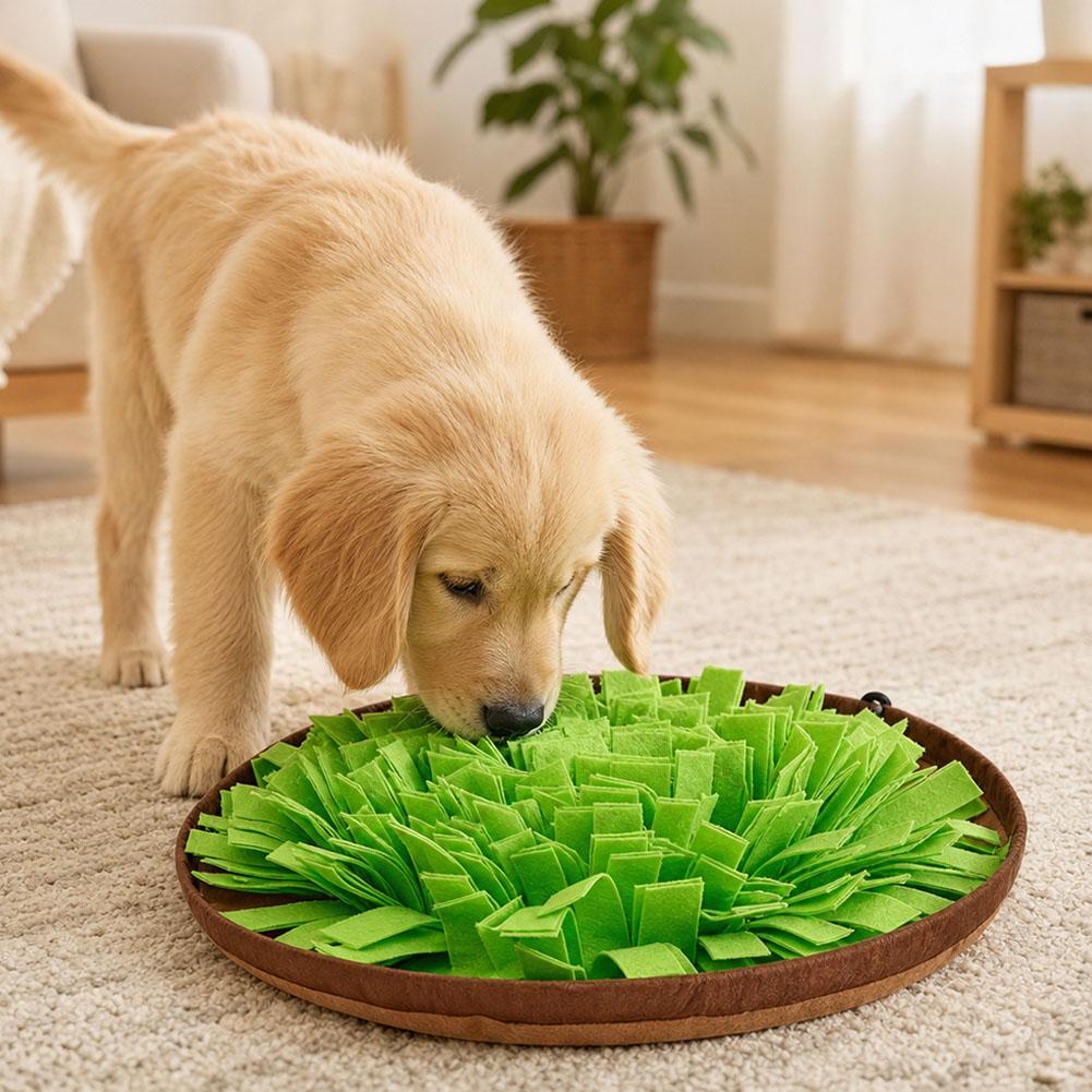 แผ่นฝึกดมกลิ่นสำหรับสุนัข ของเ - Dog Puzzle Feeder Toy บทวิจารณ์และราคา