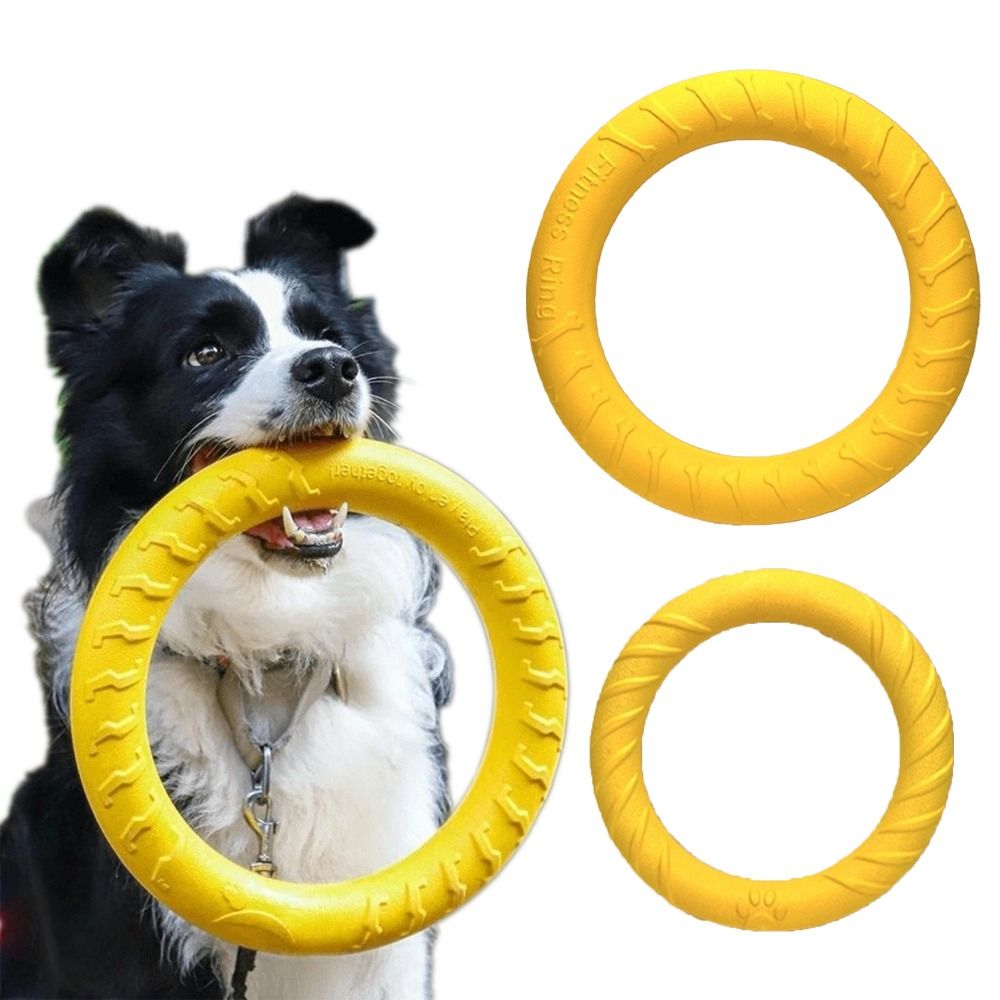 ชุดของเล่นสำหรับสุนัขเล่นกลางแ - Flying Disc Dog Training Toy บทวิจารณ์และราคา