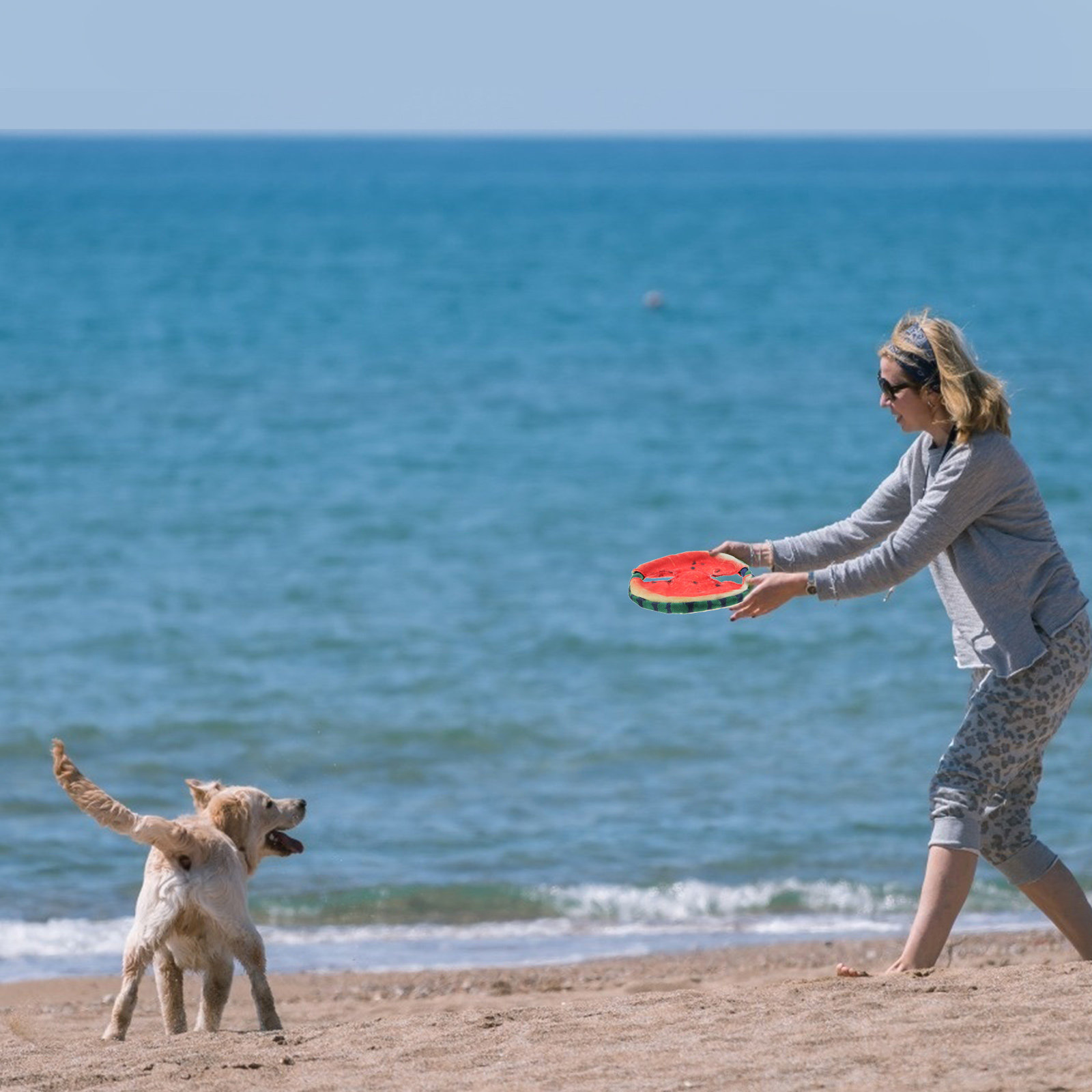 จานร่อนสำหรับสุนัข ลายแตงโมลอย - Flying Disc Dog Training Toy บทวิจารณ์และราคา