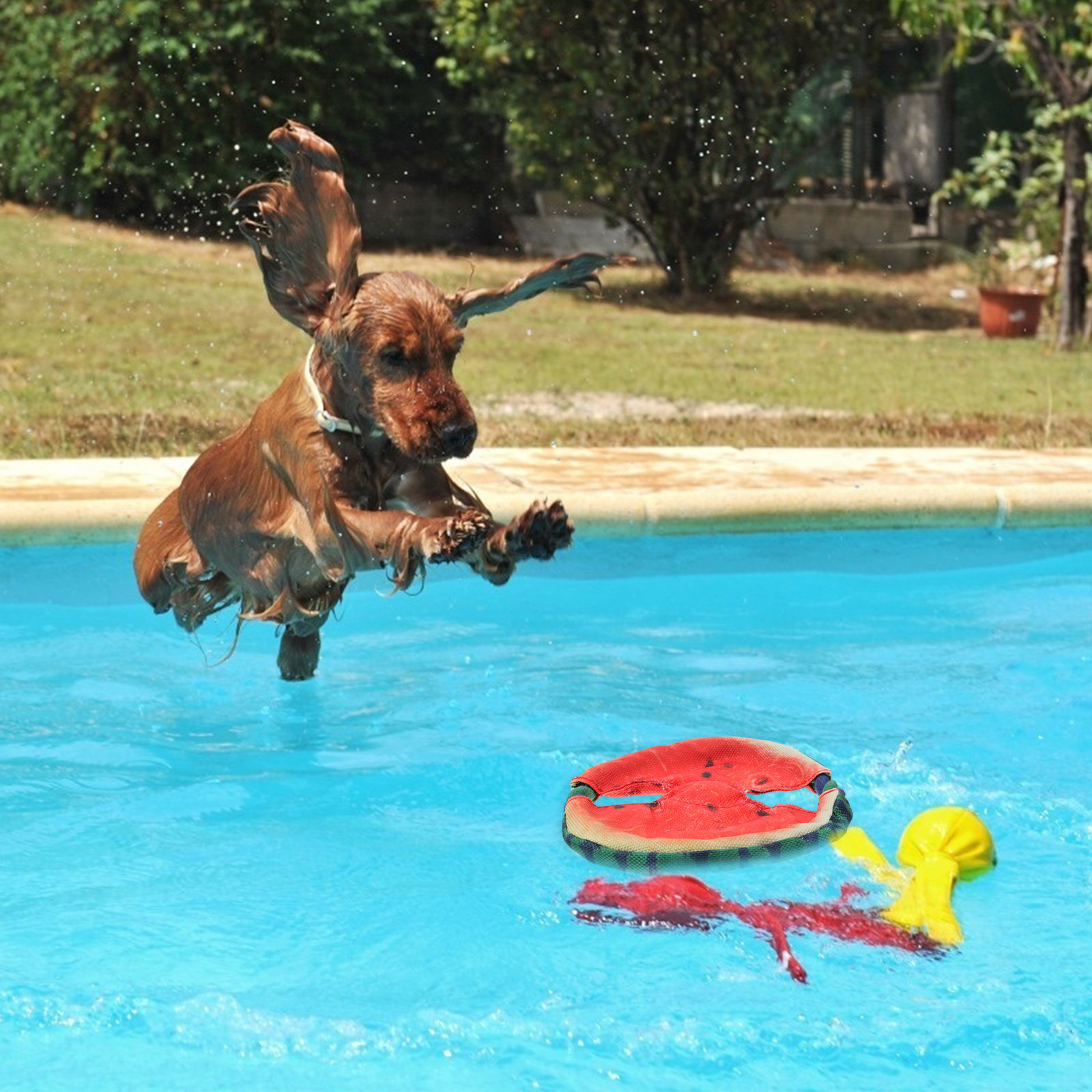 จานร่อนสำหรับสุนัข ลายแตงโมลอย - Flying Disc Dog Training Toy บทวิจารณ์และราคา